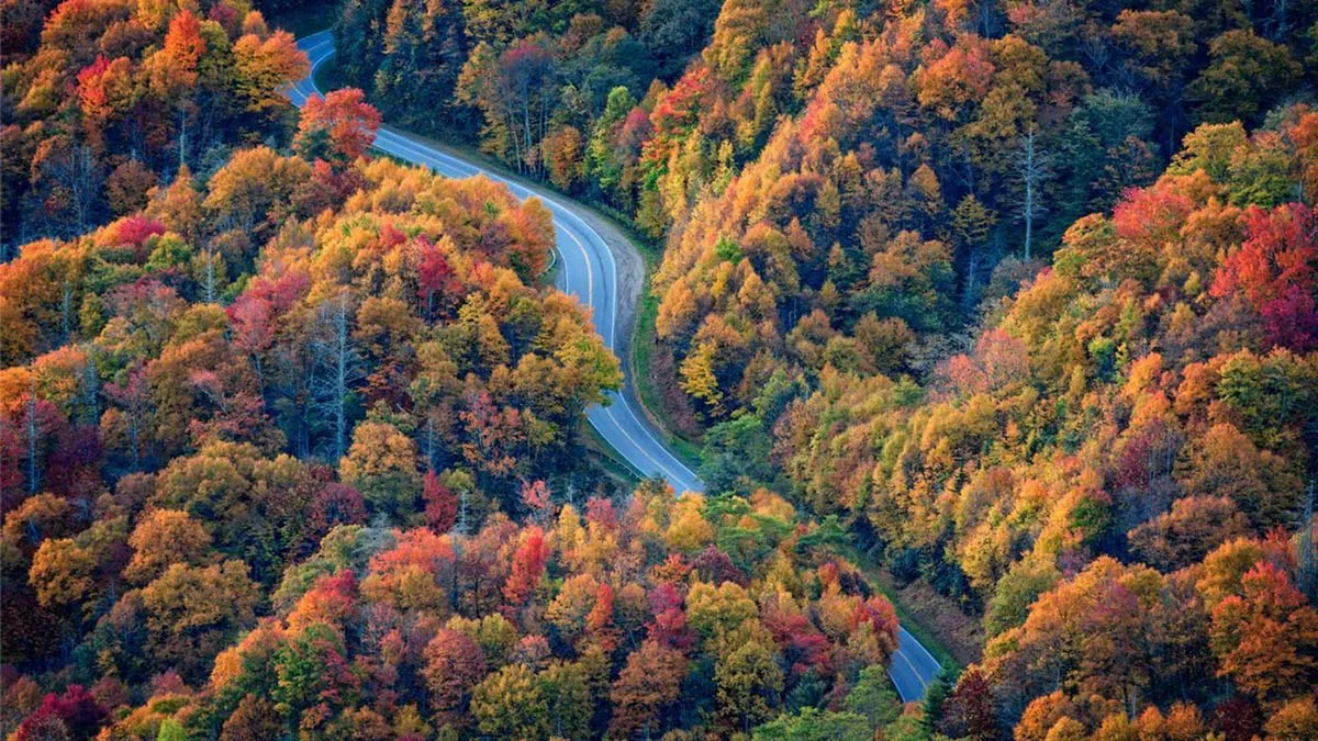 A breathtaking panoramic view featuring a winding mountain road, vibrant autumn foliage, and rolling hills. The scene invokes the sense of adventure and natural beauty characteristic of the Smoky Mountains, inviting couples to explore the area and discover scenic moments together.