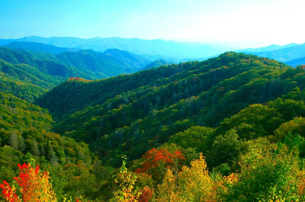 A breathtaking vista of rolling green hills, colorful autumn foliage, and distant mountain peaks. The sky is clear, and the scene is perfect for capturing with a camera or simply soaking in after a rewarding hike.